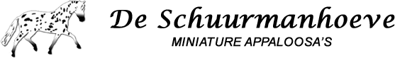logo weidzz natuurlodges